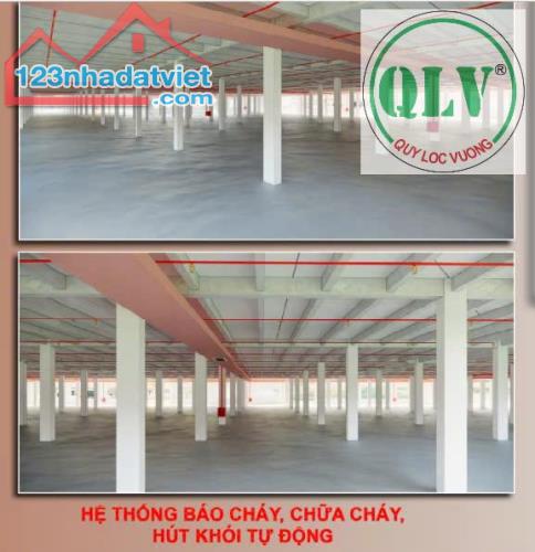 Nhà xưởng 193.000 m2 cho thuê nhiều diện tích theo yêu cầu tại Tân Uyên Bình Dương - 5