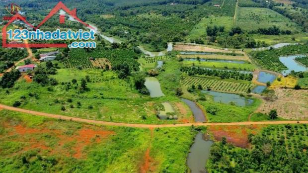 ĐẤT ĐẸP – GIÁ TỐT – CHÍNH CHỦ CẦN BÁN Lô Đất Thuộc Thôn 1 Xã Đắk Wer, Đắk RLấp, Đắk Nông