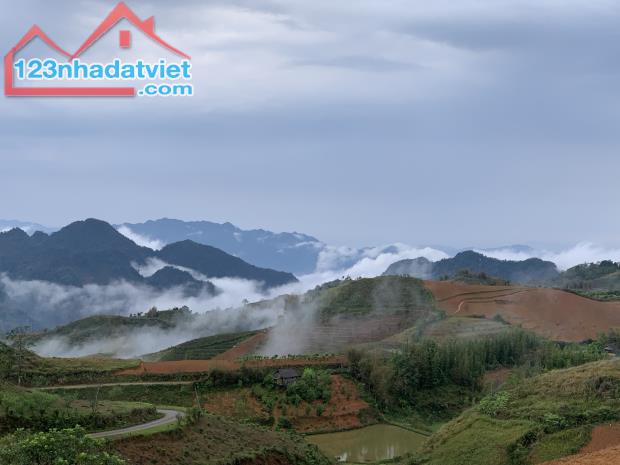 Cần bán 76.000m2 đất homestay Noong Luông, Mai Châu, Hòa Bình, giá rẻ hơn thị trường