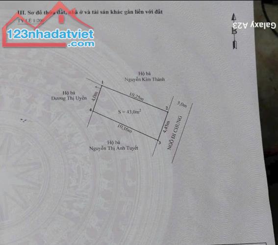 Cực hiếm chỉ 900 triệu – lô 43m2 ngõ ô tô, hướng Đông Nam tại Hùng Vương – Hồng Bàng