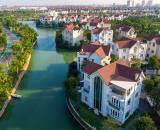 Công ty phá sản, Nay tôi bán BT Hoa Phượng Vinhomes Riverside, Giá 240 triệu/m2