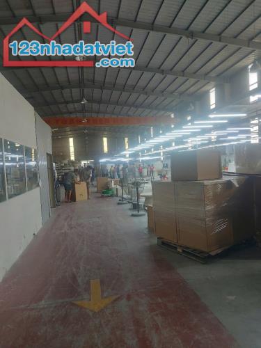 Cho Thuê nhà xưởng 9000m2 Trong KCN Thủ Dầu 1, Bình Dương - 4