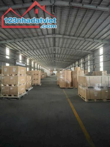 Cho Thuê nhà xưởng 5000m2 Trong KCN Thủ Dầu 1, Bình Dương - 1