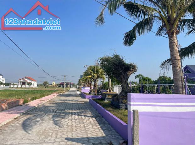 Bán gấp lô đất Quất Lâm gần khu du lịch sinh thái Trường An,DT 100m2, MT7.5m, hơn 1 tỉ. - 2