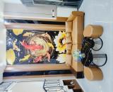 Bán Nhà Phan Huy Ích Ngay Emart2 - 3PN - Chỉ 5 Tỷ Hơn