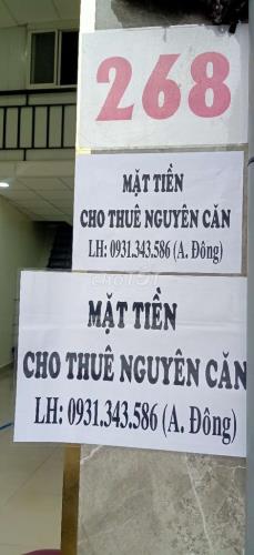 Nhà phố nguyên căn mặt tiền Đường Bạch Đằng- Mặt bằng trống dọn đến ở ngay. - 4