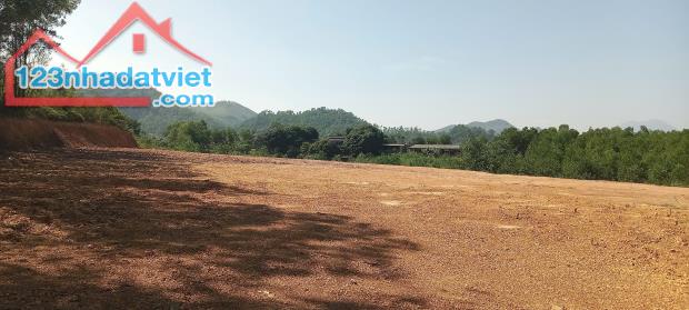 Bán đất Phúc Xuân, Bắc Sơn, Sóc Sơn, HN. Dt 11736m2, giá nhỉnh 2 triệu - 1