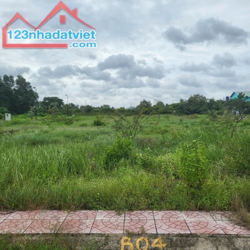 Tôi cần tiền nên bán gấp lô đất Hoàng Phan Thái Bình Chánh, dt 90m2 giá 2ty8(TL), shr - 2