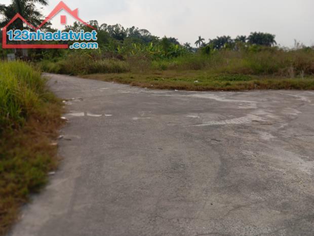 Chính chủ nhờ bán 26700 m2 đất trồng cây lâu năm 94 tỷ. Duy nhất có thửa đất lớn như này b - 1