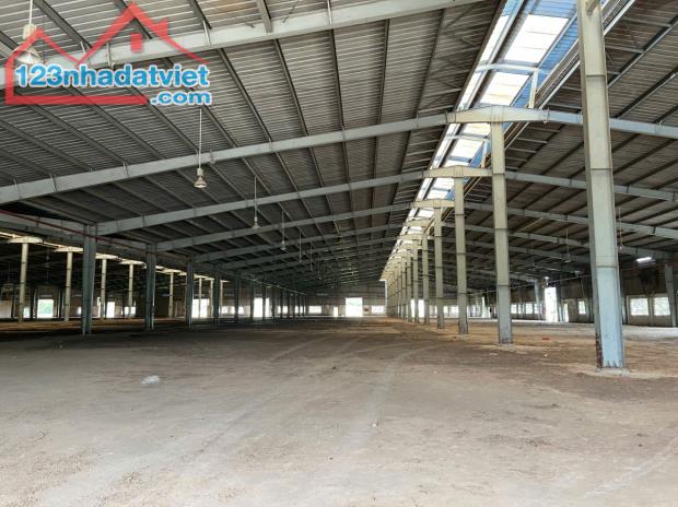 Cho Thuê 10.000m2 Xưởng Trong KCN TP Mới – Bình Dương Giá 3.5usd - 1