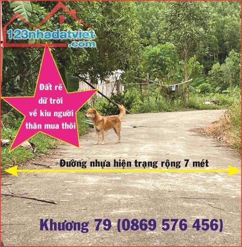 Bán Đất Vườn Thổ Cư Khánh Vĩnh Khánh Hoà - 3