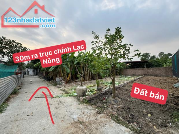 Đất Lạc Nông, Mai Đình, Sóc Sơn giá cực sốc cho nhà đầu tư - 5