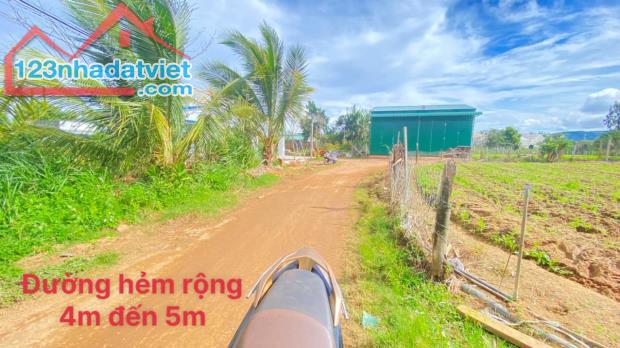 Bán 1 sào hẻm phú hội, đức trọng 980 triệu nguyên lô - 3