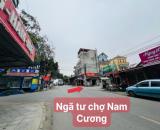 Bán đất Nam Cương, Hiền Ninh, Sóc Sơn , Hà Nội dt 54m có 1,x tỷ