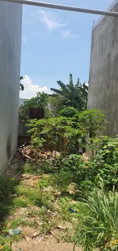 Gấp bán nền Building 20 tầng, dt 5800m2, Mặt tiền Nguyễn Xiển, Quận 9, chỉ 195 tỷ. - 1