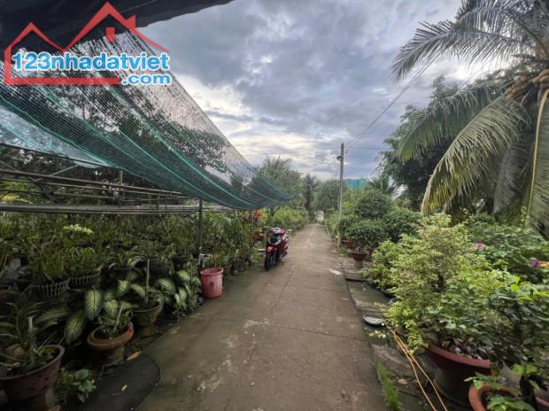 Gấp bán nền đất Thủ Đức, dt 5800m2, Mt Nguyễn Xiển, Quận 9(cũ), chỉ 195 tỷ. - 1