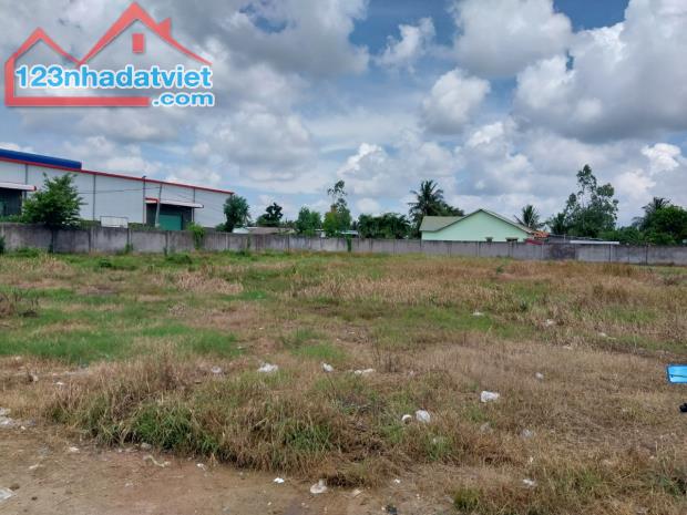 MẶT TIỀN Quốc Lộ 1A. Lô đất hiếm rộng 2.620m2 Châu Thành-Mỹ Tho.TG - 2