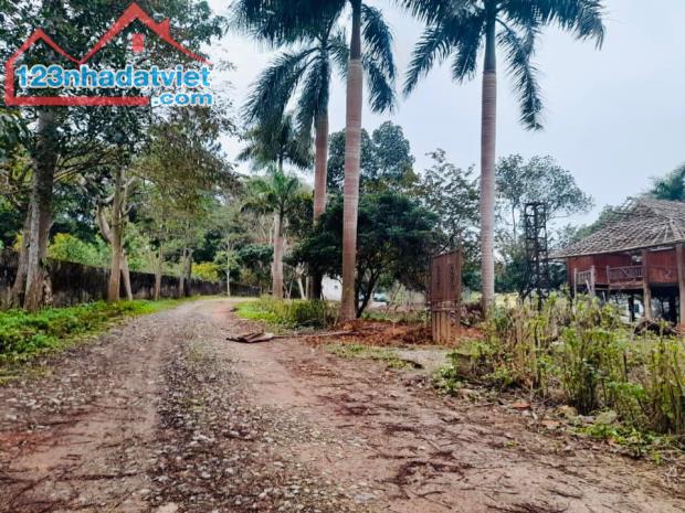Đất nghỉ dưỡng trang trại 1124m2 view nhìn hồ thanh cao Ngọc Thanh Phúc Yên Vĩnh Phúc đẹp