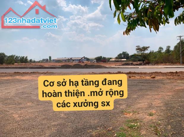 Cần bán Đất đường Quốc Lộ 13, Xã Lộc Hoà, Huyện Lộc Ninh, Bình Phước, Diện tích 170m² - 4