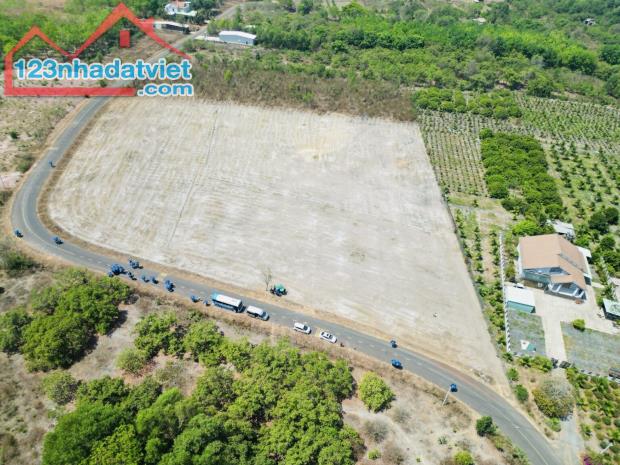 Cần bán 2.500m2 đất gần khu kinh tế Của Khẩu Hoa Lư Bình Phước - 1