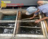 Vệ sinh hồ cá Koi sạch giá rẻ ở HCM, Đồng Nai