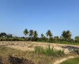 Bán Đất Vườn có thổ cư 360m2 tại Thuận Phong, Cát Lâm, Phù Cát, Bình Định Giá 179 Triệu
