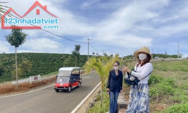 CẮT LỖ LÔ ĐẤT NẰM TẠI NGÃ 5 DAMRI XÁC BÊN ĐỒI CHÈ TÂM CHÂU VÀ CẠNH NÚT GIAO CAO TỐC