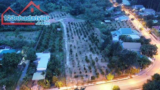 Bán đất mặt tiền đường Nguyễn Huệ trung tâm thị trấn Madagui giá chỉ từ 600 triệu - 1