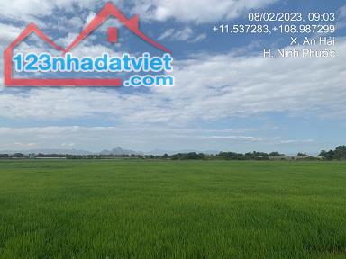 Cần bán gấp gấp đất nông nghiệp khu vực gần thành phố Phan Rang-Tháp Chàm - Thôn Anh - 1