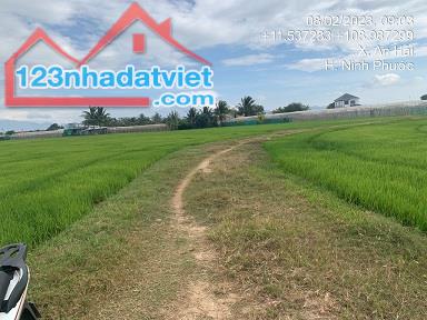 Cần bán gấp gấp đất nông nghiệp khu vực gần thành phố Phan Rang-Tháp Chàm - Thôn Anh - 2
