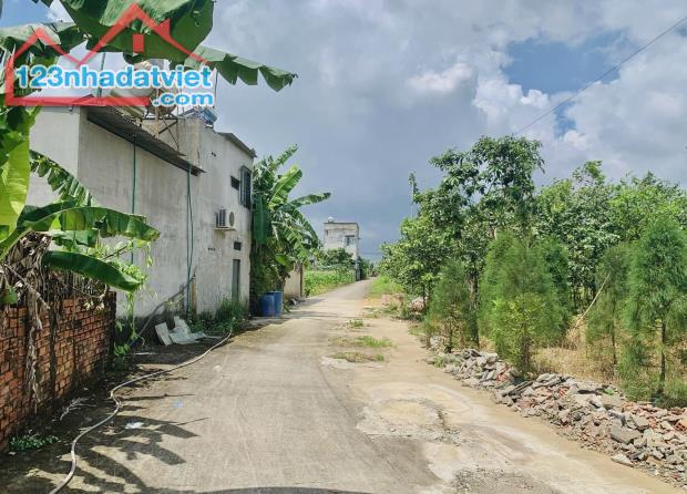 Mình bán đất thị xã Chơn Thành - Bình Long giá 195tr 200m2 (5x40) sổ riêng thổ cư Sát QL13