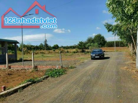 .    LÔ GÓC 2 MẶT TIỀN 1000m2 NHÀ TÔI BÁN 310 TRIỆU, SHR, SÁT CHỢ BUÔN BÁN ĐƯỢC - 2