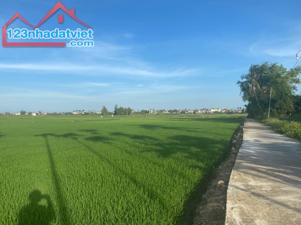 Bán nhanh lô đất view lúa 200mv trung tâm An Mỹ, ngang 10m,vuông vức - 1