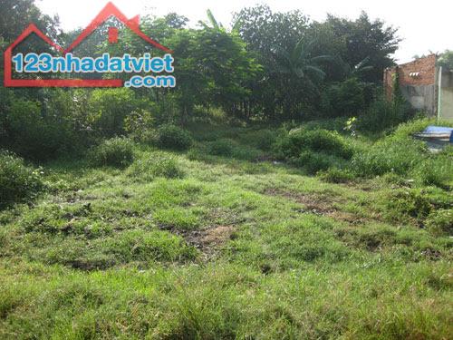 Bán đất xây phòng trọ, nhà vườn ở xã Phú Xuân, TP. Thái Bình