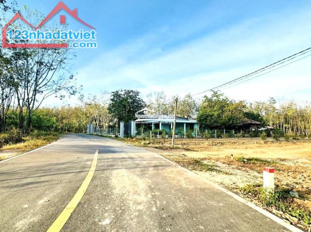 Bán lô đất 1.000m2, ở thị xã, sát KCN xây dựng tự do lên được thổ cư