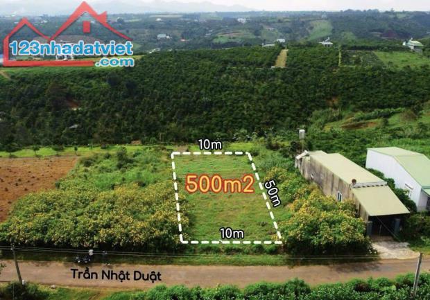 🌈🌈Giá rẻ nhất khu vực 500m2! Bán đất mặt tiền đường Trần Nhật Duật Dambri Bảo Lộc - 1