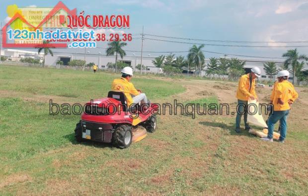 Báo giá Dịch vụ cắt c.ỏ dại phát hoang mùa khô ở HCM, Đồng Nai, BRVT