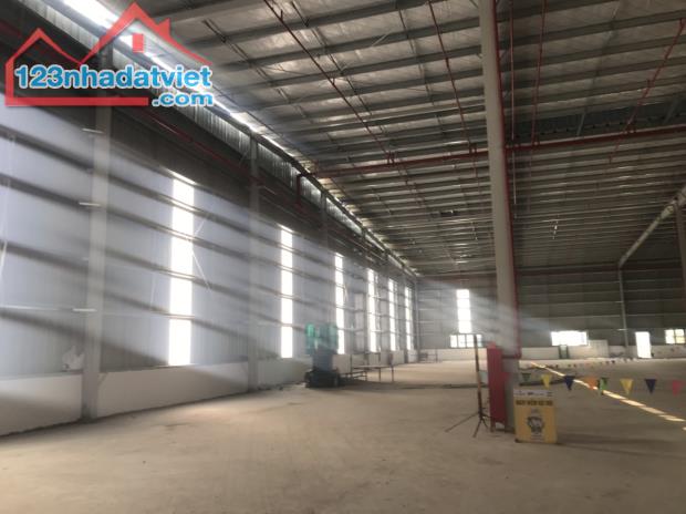 Cho thuê nhà xưởng 5.000m2 – Khu công nghiệp Thuận Thành, PCCC tự động. - 2