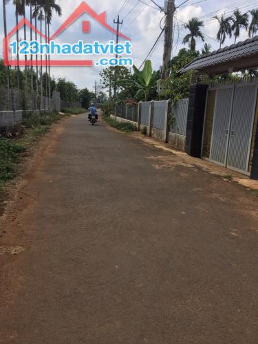 Bán đất 10x50 hẻm Nguyễn Thái Bình thông ra đại lộ đông tây gần chợ Hoà thắng Buon Ma Thuo