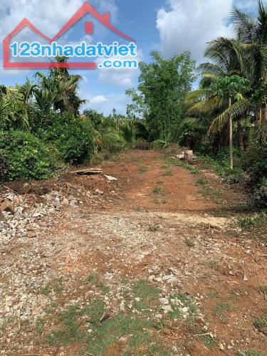 Bán đất 10x50 hẻm Nguyễn Thái Bình thông ra đại lộ đông tây gần chợ Hoà thắng Buon Ma Thuo - 1