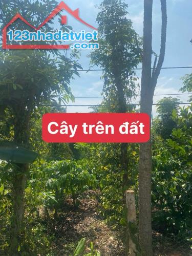 Bán Lô đât 500m2 Giá 179 Tr, KDC, Ô Tô Tận Nơi