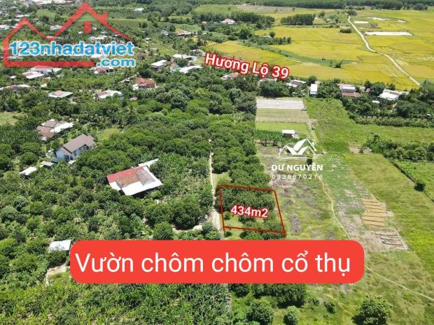Bán vườn chôm chôm cổ thụ Diên Lâm sát bên Hương Lộ 39 - 4