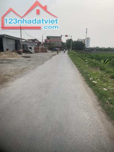 Bán đất 200m2 chính chủ tại Việt Hưng, Văn Lâm, Hưng Yên - 1