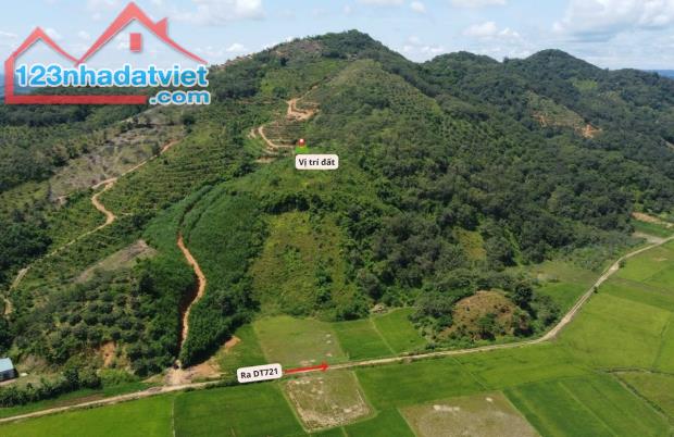 1.13 ha đất view đồi Cát Tiên, Lâm Đồng, giá rẻ chỉ 390 triệu, thích hợp làm homestay