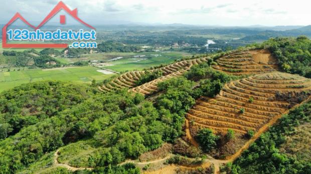 1.13 ha đất view đồi Cát Tiên, Lâm Đồng, giá rẻ chỉ 390 triệu, thích hợp làm homestay - 1