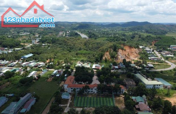 1.13 ha đất view đồi Cát Tiên, Lâm Đồng, giá rẻ chỉ 390 triệu, thích hợp làm homestay - 2