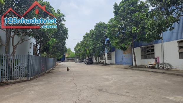 Cho thuê nhà xưởng đẹp giá rẻ, chỉ 100 triệu ở Phước Tân TP Biên Hoà - 4