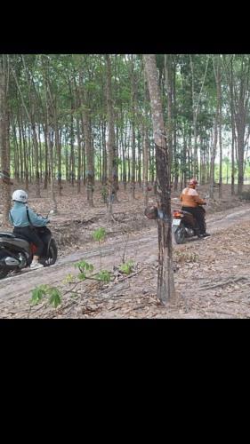 Chính chủ cần bán nhanh lô đất tại khu Suối Đá, Xã Tân Hà, Huyện Đức Linh Bình Thuận - 2
