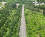 bán vườn 1 hecta quy hoạch full thổ cư đang trồng Bưởi và Sâu Riêng xã Khánh Phú giá rẻ