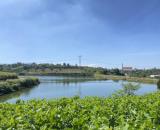 💎 Bán đất view hồ nghỉ dưỡng sẵn thổ cư hồ mai thành Bảo Lộc